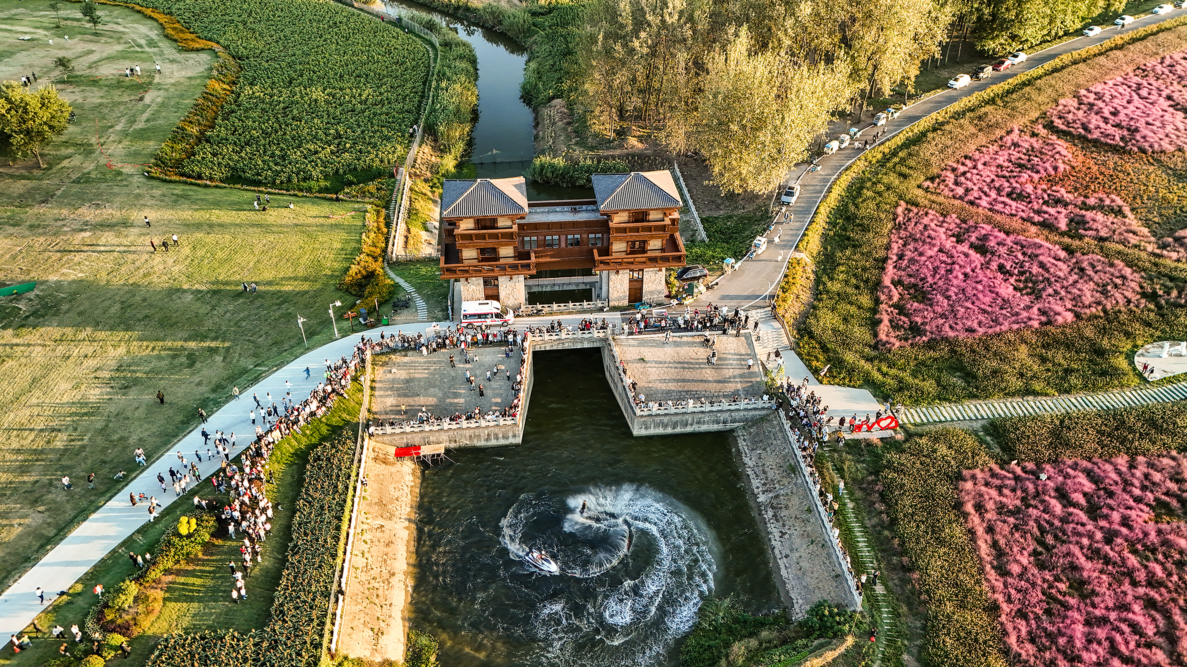 固鎮(zhèn)菊花文旅季